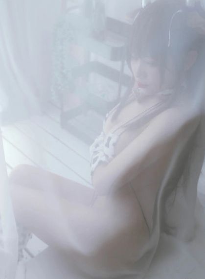 征服者佩尔_DVD免费观看超清