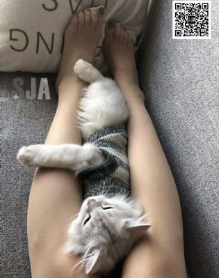 一边摸一边叫床一边爽公交_迅雷在线观看
