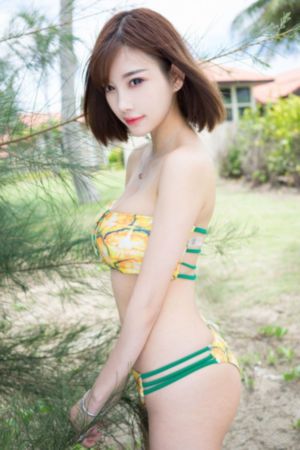 第一滴血6_DVD在线观看视频