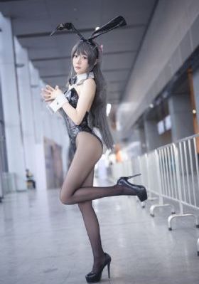 熊大熊二全集免费播放_720高清免费观看